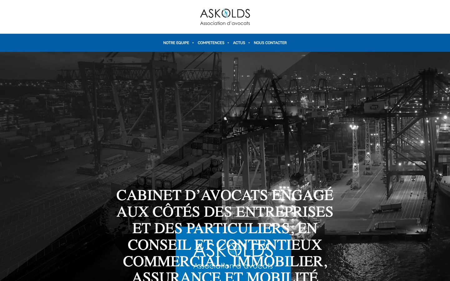 Screenshot of the Askolds project: technical support for a WordPress site